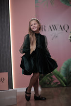 Load image into Gallery viewer, Velvet Dress