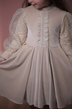 Load image into Gallery viewer, Velvet Dress