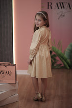 Load image into Gallery viewer, Collar Detailed Dress