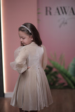 Load image into Gallery viewer, Velvet Dress