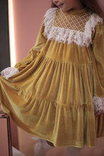 Load image into Gallery viewer, Lace Detailed Velvet Dress